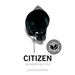 Citizen: An American Lyric