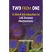 Two from One