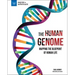 The Human Genome: Mapping the Blueprint of Human Life