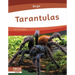 Tarantulas