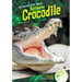 Saltwater Crocodile