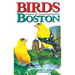 Birds of Boston