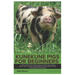 Kunekune Pigs for Beginners: A Step-By-Step Guide to Raising Happy and Healthy Pigs, Including History, Origin, Choosing, Housing, Supplies, Feedin