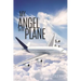 My Angel on the Plane