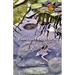 Flowers of Emptiness: Imaginal Haiku