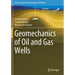 Geomechanics of Oil and Gas Wells