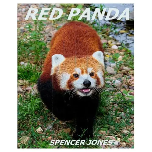 Red Panda: Learn About Red Pandas-Amazing Pictures & Fun Facts