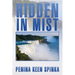 Hidden in Mist