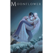 Moonflower