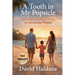 A Tooth in My Popsicle: And Other Ebullient Essays on Becoming Filipino