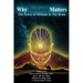 Why Darkness Matters