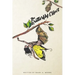 The Butterfly Effect: Metamorphosis