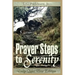 Prayer Steps to Serenity Daily Quiet Time Edition