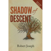 Shadow of Descent