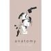 Anatomy