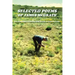 Selected Poems of James McGrath: Softcover