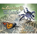 The Butterfly and the Spider