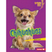Chihuahuas