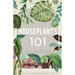 Houseplants 101: How to choose, style, grow and nurture your indoor plants