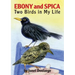 Ebony and Spica: Two Birds in My Life