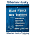 Siberian Husky By Blue Fence DOG Training, Obedience, Behavior, Commands, Socialize, Hand Cues Too!: Siberian Husky Training