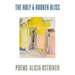 The Holy & Broken Bliss