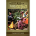 The Mysteries of the Islands of Buton