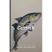 It's Time to Learn about Catfish