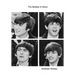 The Beatles in Mono