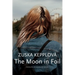 The Moon in Foil