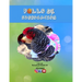 Pollo de Subrogación