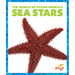 Sea Stars