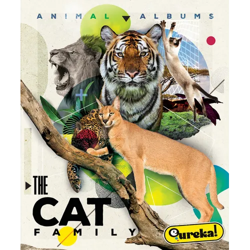 The Cat Family