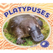 Platypuses
