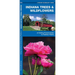 Indiana Trees & Wildflowers: A Folding Pocket Guide to Familiar Plants