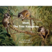 Mabi The Tree Kangaroo