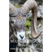 Mouflon Brigade
