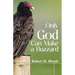 Only God Can Make A Buzzard