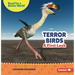Terror Birds: A First Look