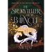 The Storyteller from Balincia: Book One of the Driftstone Series