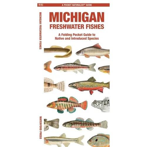 Michigan Freshwater Fishes: A Folding Pocket Guide to Native and Introduced Species