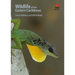 Wildlife of the Eastern Caribbean