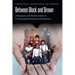Between Black and Brown: Blaxicans and Multiraciality in Comparative Historical Perspective