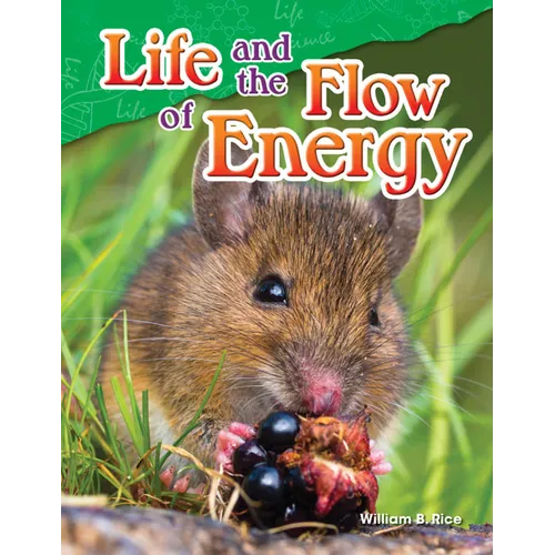 Life and the Flow of Energy