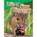 Life and the Flow of Energy