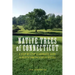 Native Trees of Connecticut: A Step-By-Step Illustrated Guide to Identifying the State's Species