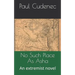 No Such Place as ASHA: An Extremist Novel