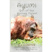 Ayumi Girl of the Borneo Forest