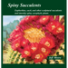 Spiny Succulents: Euphorbias, Cacti, and Other Sculptural Succulents and (Mostly) Spiny Xerophytic Plants