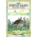 202 Turtle Haiku: The Story of Pong